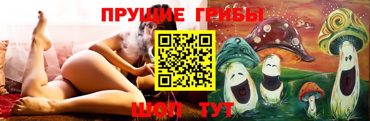 Галлюциногенные грибы Psilocybine cubensis Симферополь
